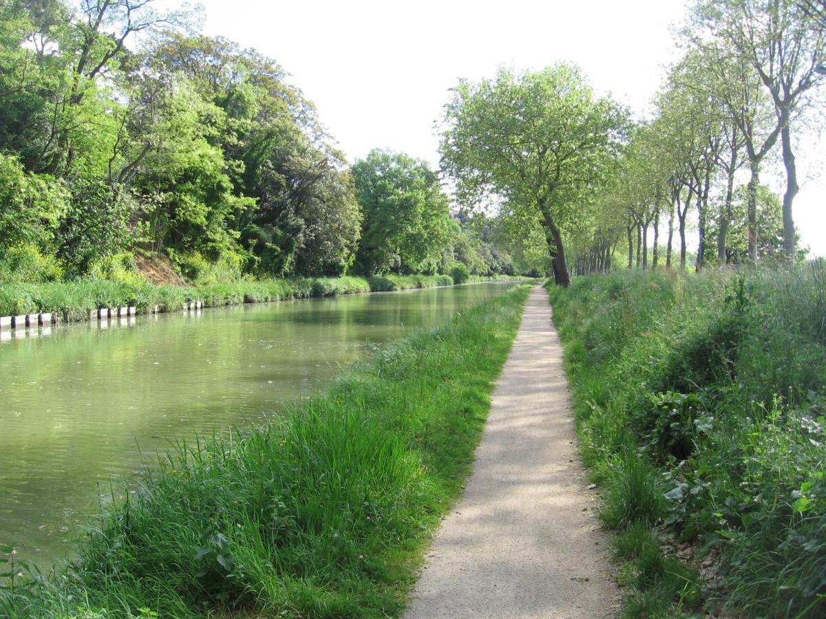 Ventenac-CabardèsChambre D'Hote A La Maison Du Petit Bois 4 Etoiles住宿加早餐旅馆 外观 照片